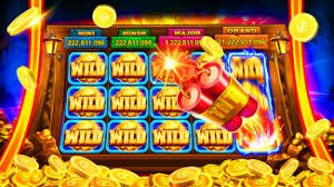 555wij